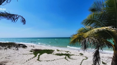 Terreno en San Benito, Dzemul, cerca de la Playa